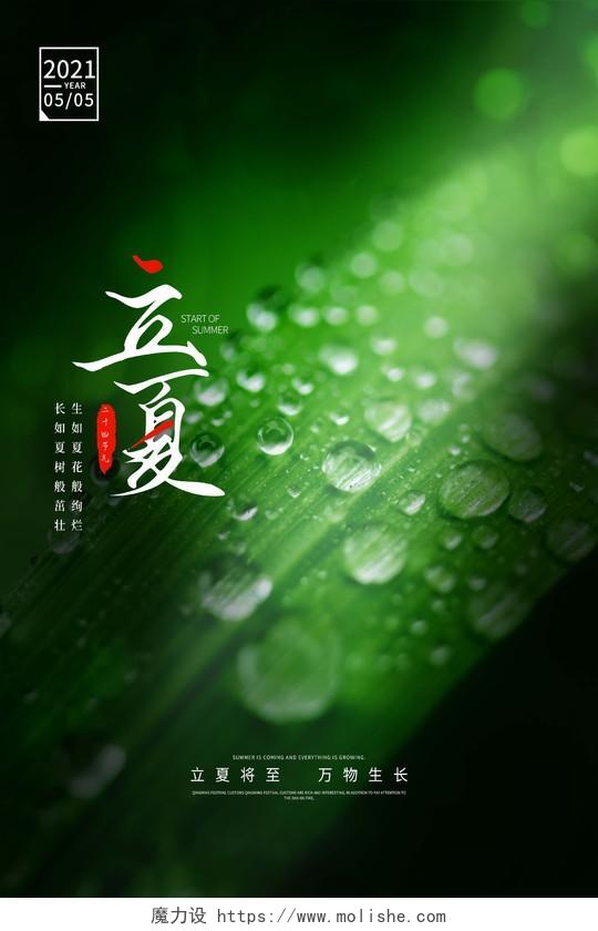 深绿写实绿叶滴水二十四节气立夏宣传海报